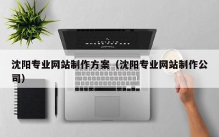 临朐沈阳专业网站制作方案（沈阳专业网站制作公司）